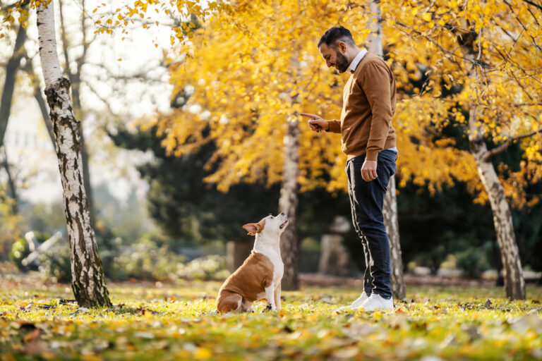 【完全版】筋トレと休息の科学｜筋肉を最大限に成長させる休み方とスケジュール戦略