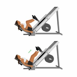 ハックスクワットのやり方｜足の位置で変わる効き方とフリースクワットとの違い